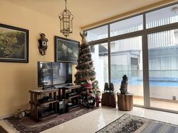 Whitley Road (D11), Terrace #478266431